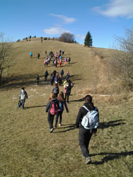 2013-11-27_11.33.53