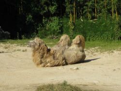 thumb_IMG_4629