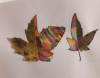 20171107_095501x