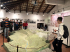 img-2356
