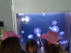 img_20190605_110634