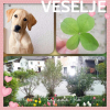 neja_f_l01